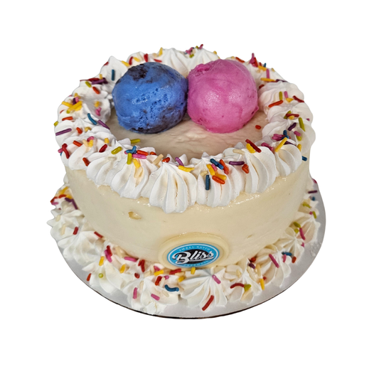 Gender Reveal Ice Cream Cakes